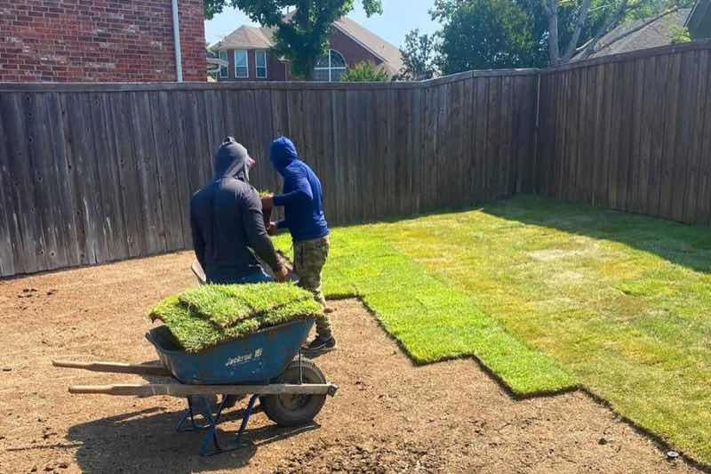 Zoysia Lawn in Dallas