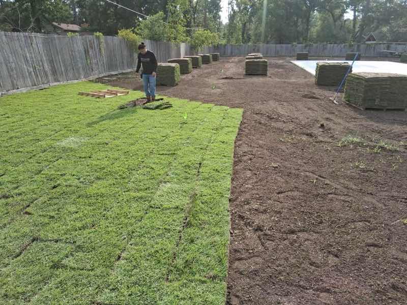 Lawn Replacement near Plano