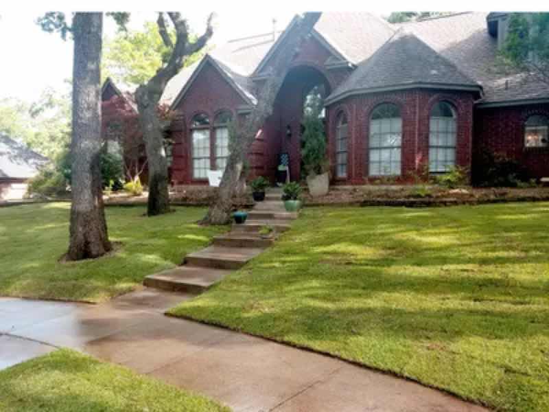 Lawn Replacement near Carrollton